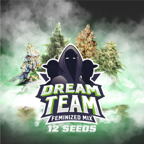 Dream Team Mix Feminizadas X12