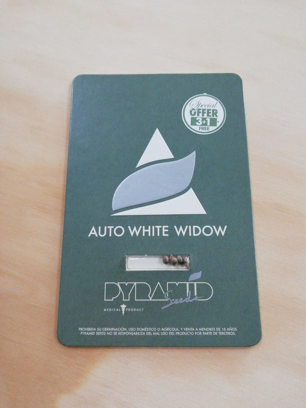 Auto White Widow 3+1 - De La Buena Growshop 