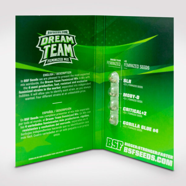 Dream Team Mix Feminizadas X12 BSF Seeds