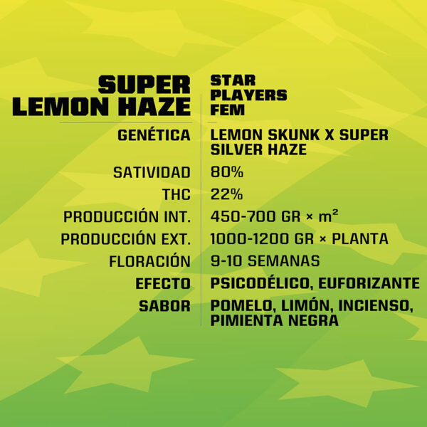 Super Lemon Haze Feminizada X4