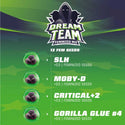Dream Team Mix Feminizadas X12
