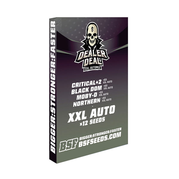 Dealer Deal XXL Automix X12