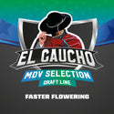 El Gaucho Feminizada Faster Flowering X2