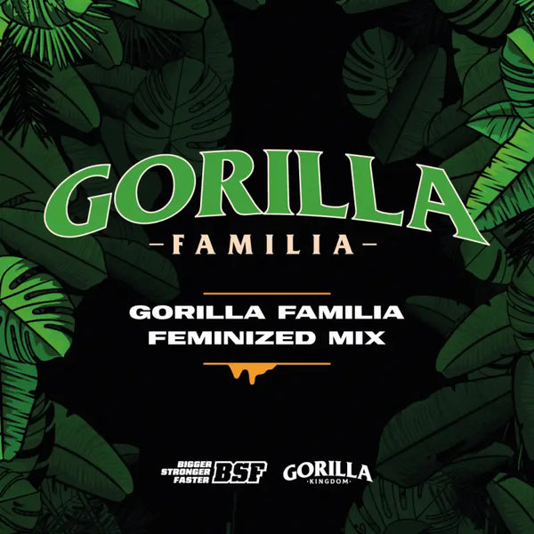 Gorilla Familia Mix Feminizadas X12