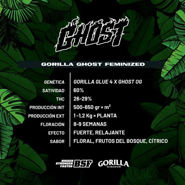 Gorilla Ghost GK X2 Feminizada