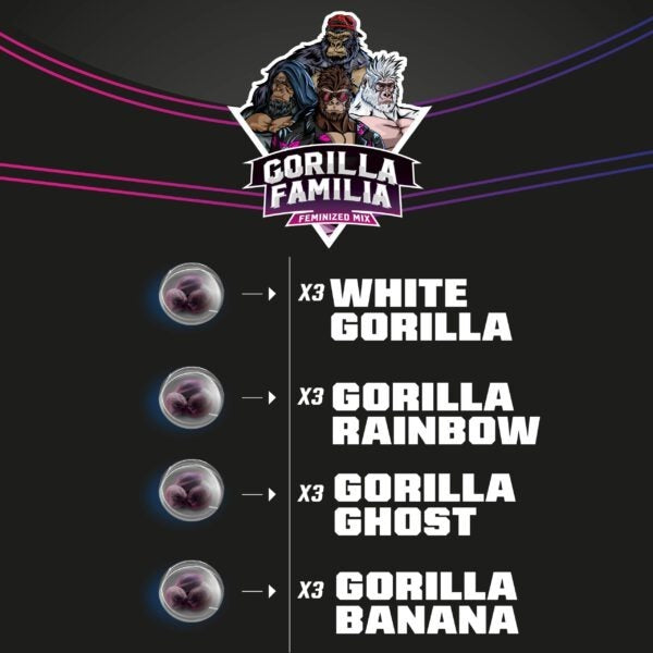 Gorilla Familia Mix Feminizada X12