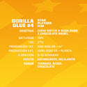 Gorilla glue #4 feminizada X4