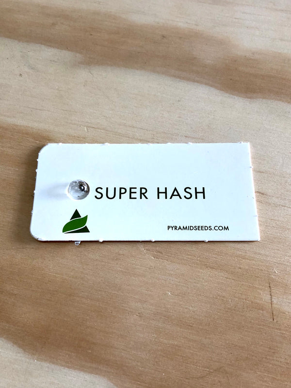 Super Hash feminizada X1