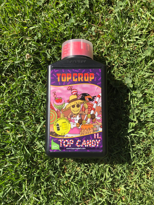 Top Candy 1 Lt