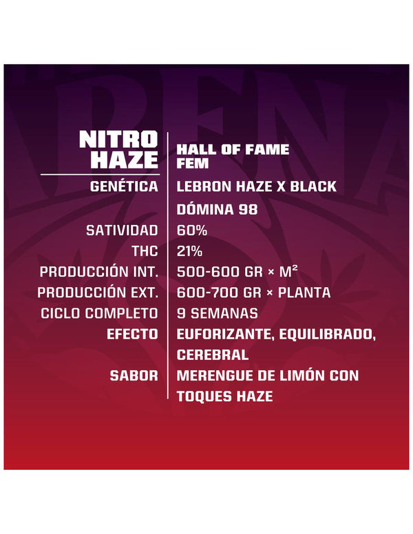 Nitro Haze Feminizada X4