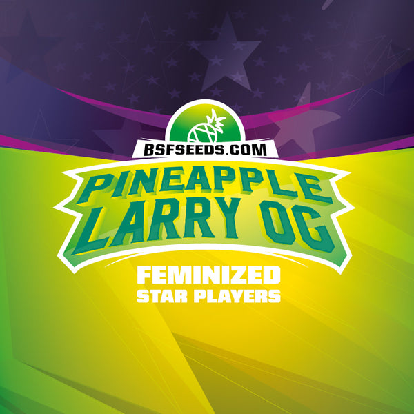 Star Player Pineapple Larry OG Feminizada X2